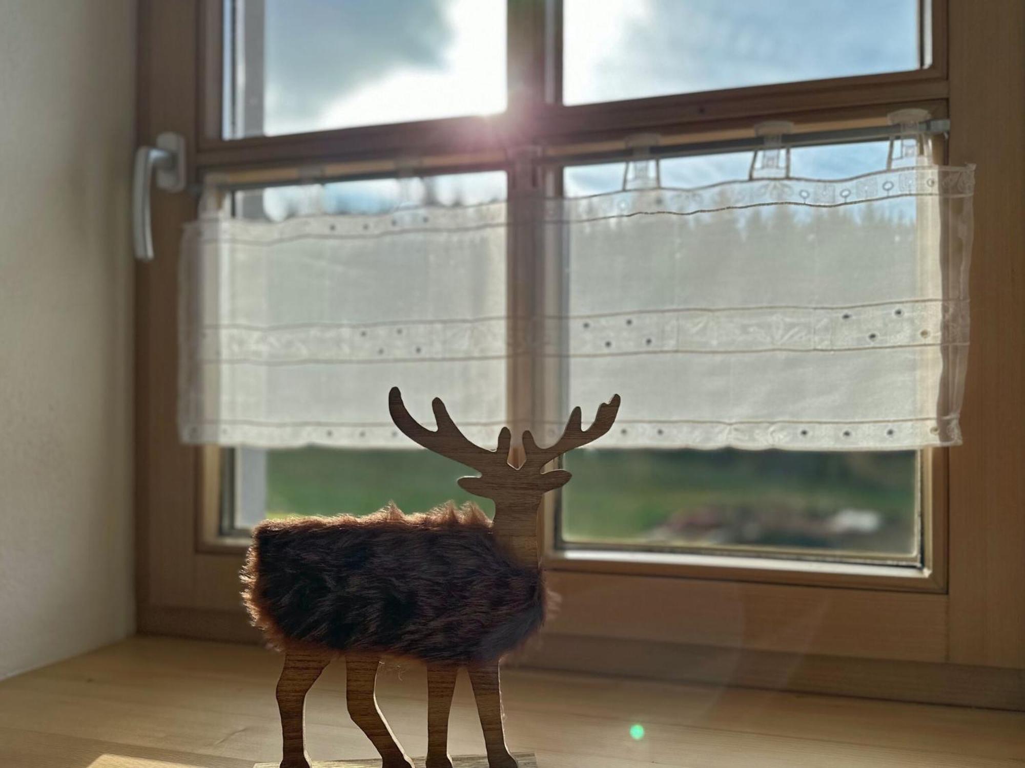 Ferienwohnung Im Bayerischen Wald Mit Terrasse Viechtach Bagian luar foto