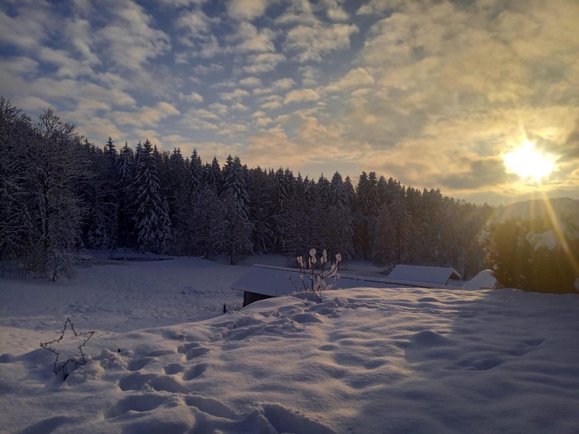 Ferienwohnung Im Bayerischen Wald Mit Terrasse Viechtach Bagian luar foto