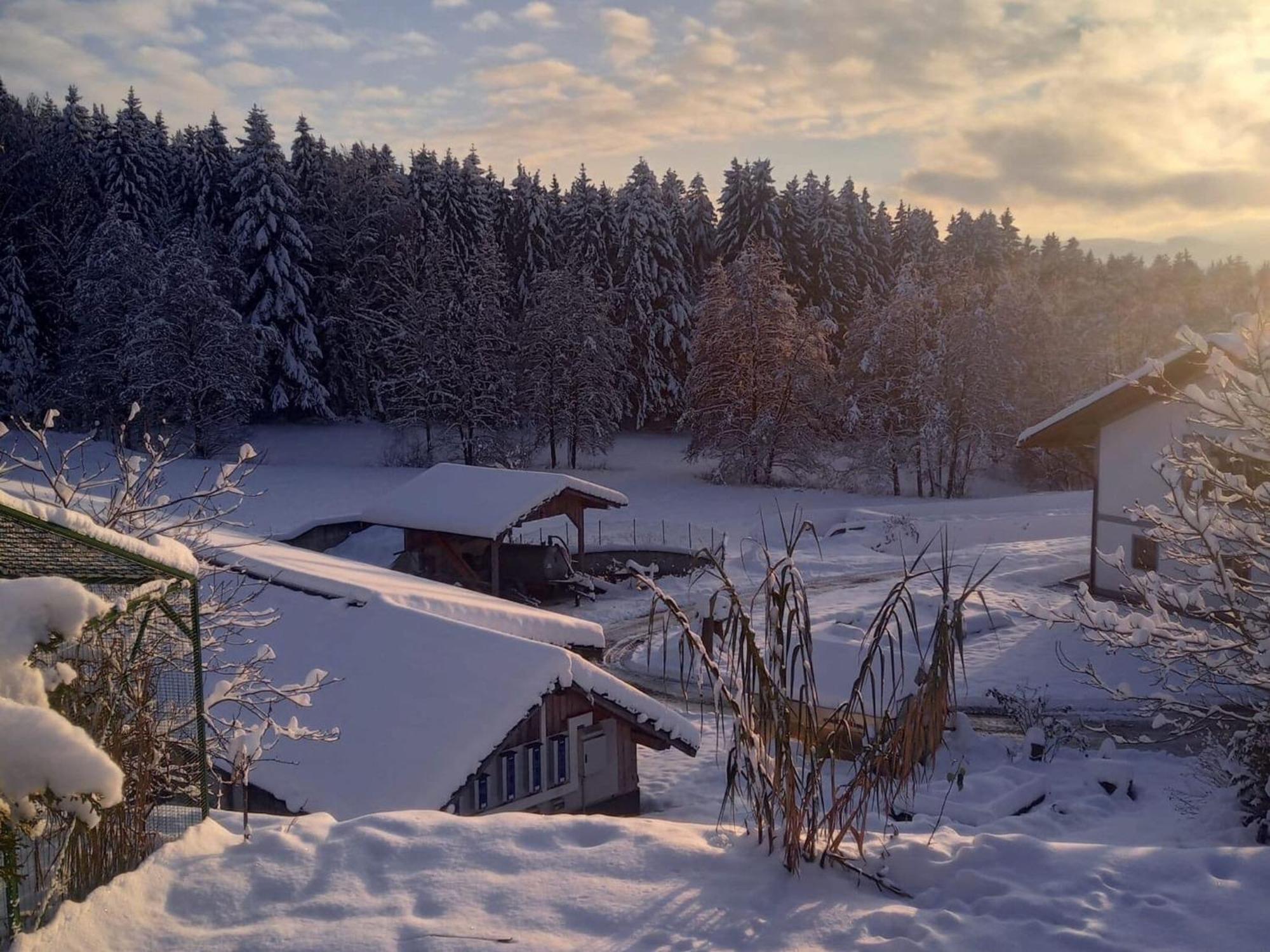 Ferienwohnung Im Bayerischen Wald Mit Terrasse Viechtach Bagian luar foto